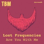 lost-frequencies-are-you-with-me