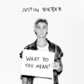 Justin Bieber « What Do You Mean? »