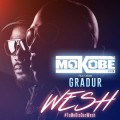 Mokobé feat Gradur « Wesh »