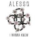 Alesso ft. Nico & Vinz – I Wanna Know