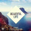 Lost Frequencies ft. Sandro Cavazza – Beautiful Life
