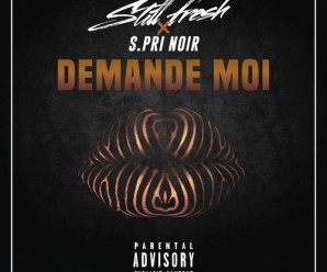 Still Fresh Ft S.Pri Noir – Demande Moi