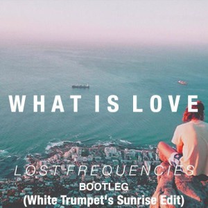Lost-Frequencies-What-is-Love